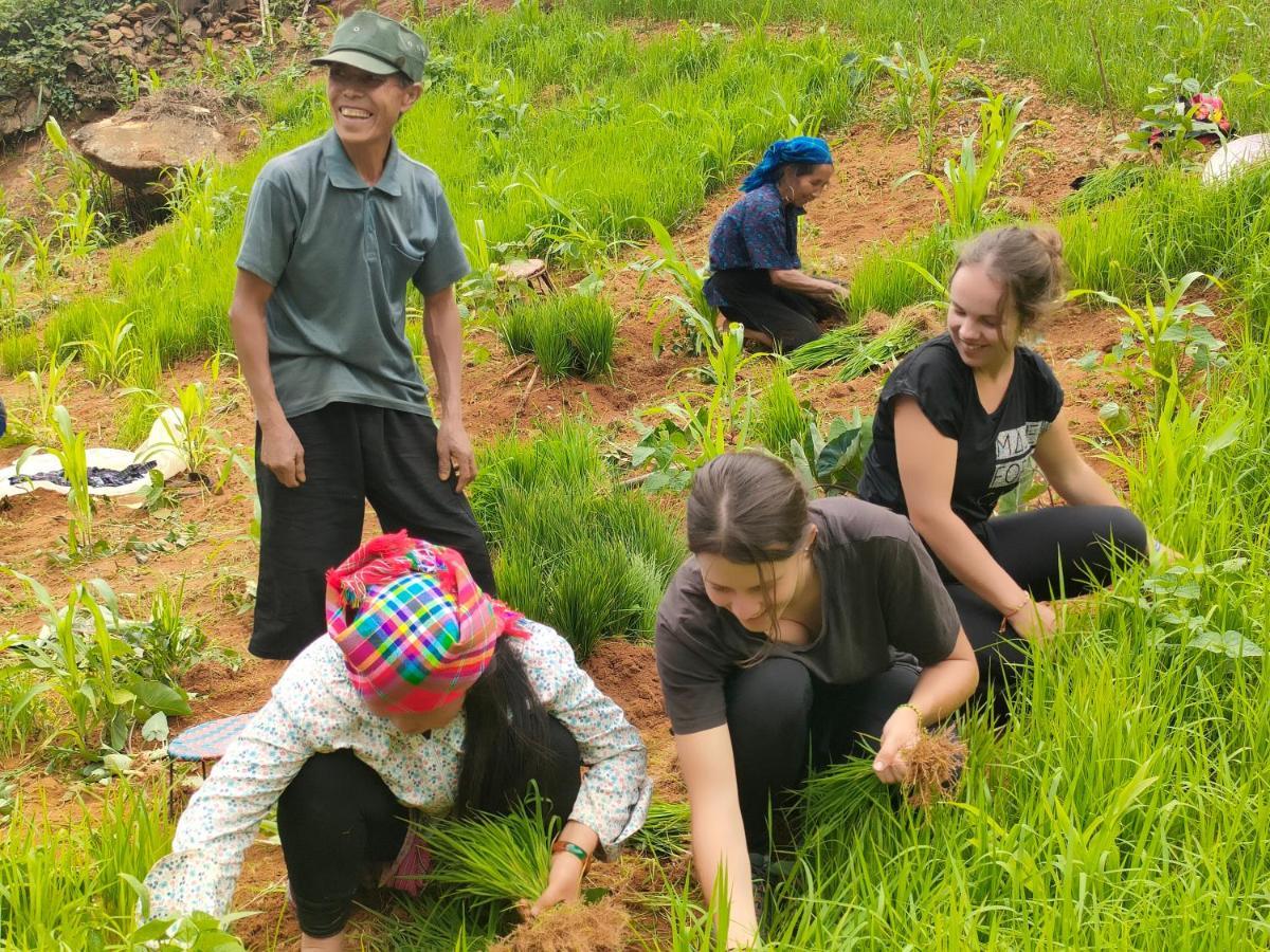 Indigenous Homestay- Trek- Food- Bus Mu Cang Chai Eksteriør bilde