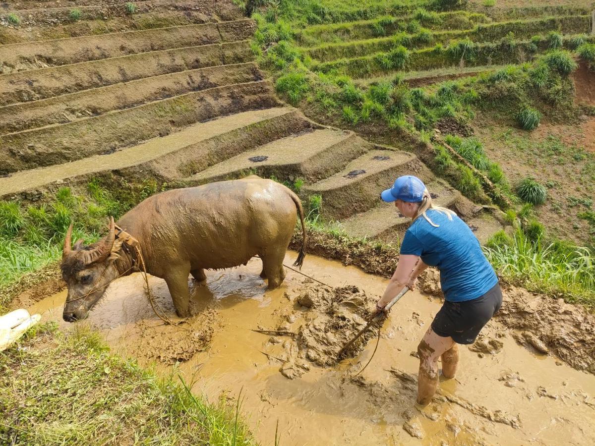 Indigenous Homestay- Trek- Food- Bus Mu Cang Chai Eksteriør bilde