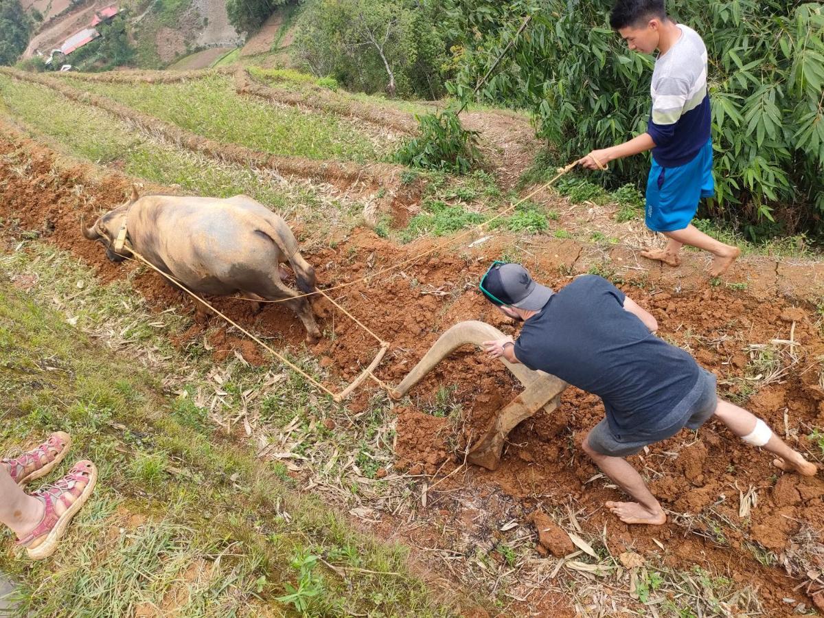 Indigenous Homestay- Trek- Food- Bus Mu Cang Chai Eksteriør bilde