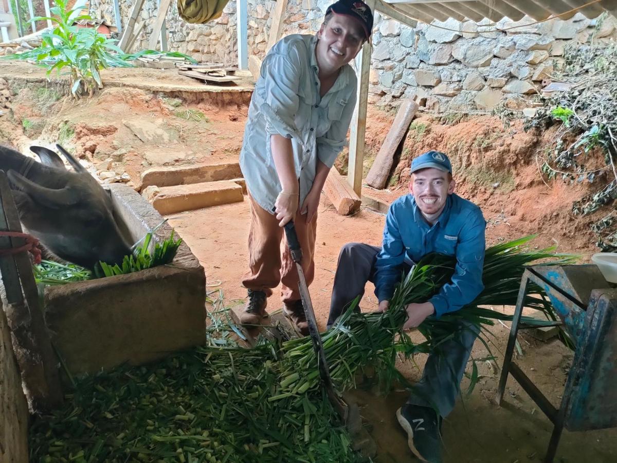 Indigenous Homestay- Trek- Food- Bus Mu Cang Chai Eksteriør bilde