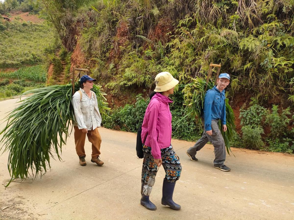 Indigenous Homestay- Trek- Food- Bus Mu Cang Chai Eksteriør bilde