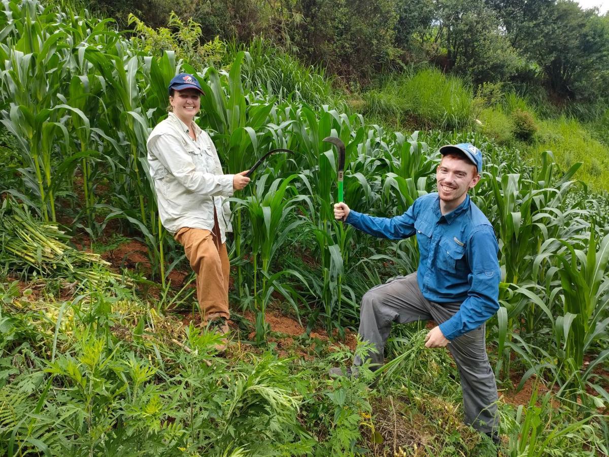 Indigenous Homestay- Trek- Food- Bus Mu Cang Chai Eksteriør bilde