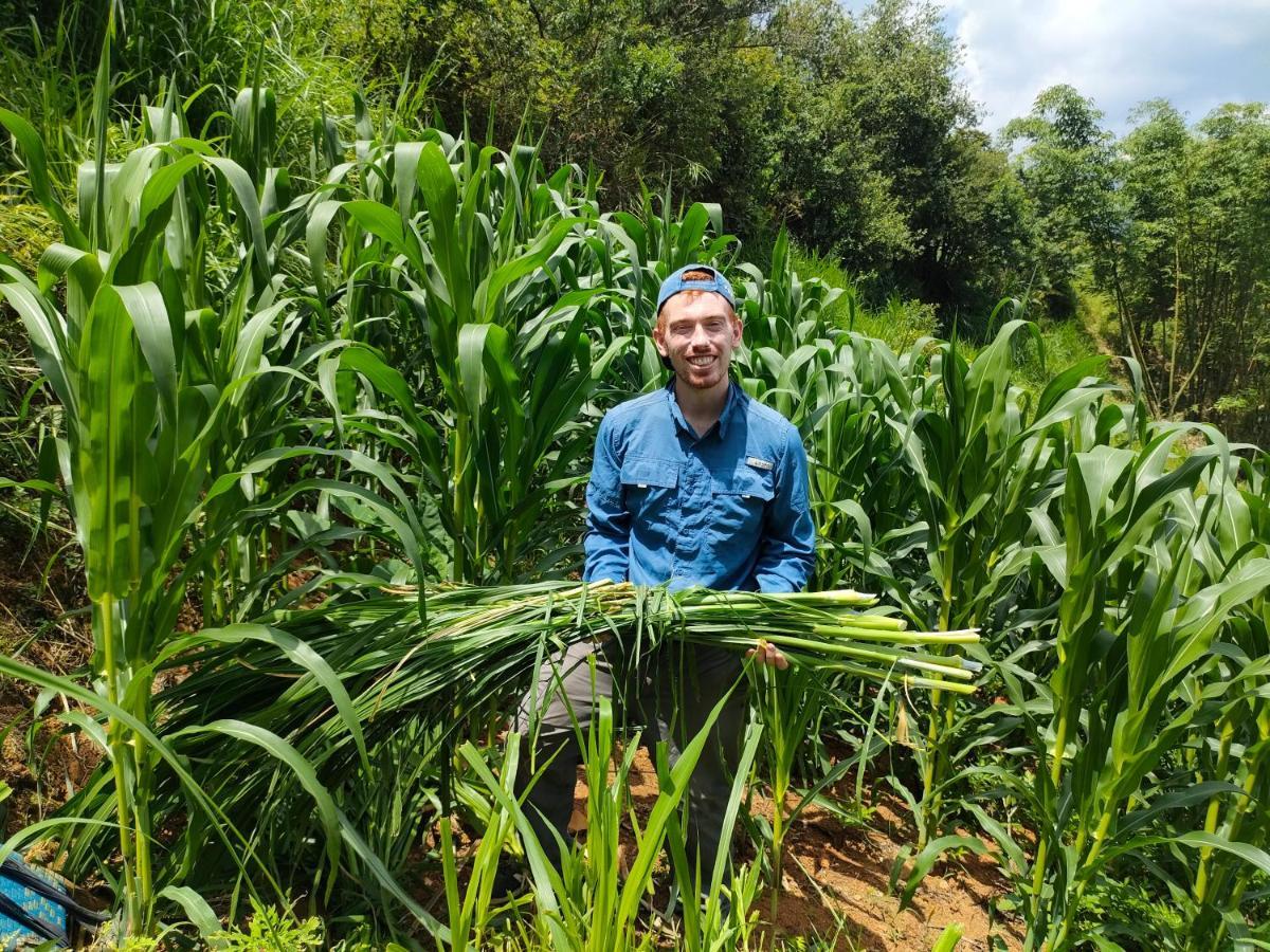 Indigenous Homestay- Trek- Food- Bus Mu Cang Chai Eksteriør bilde