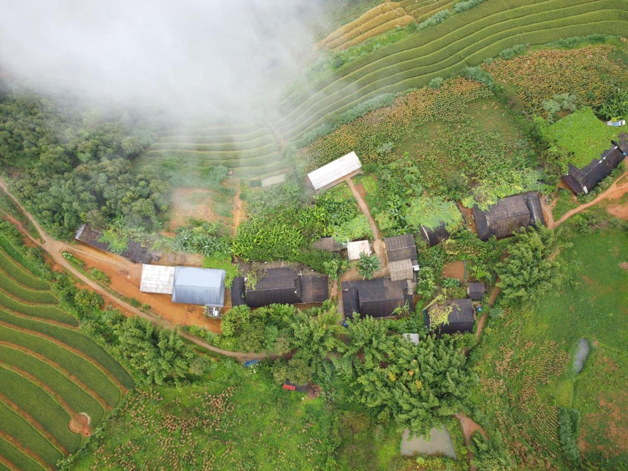 Indigenous Homestay- Trek- Food- Bus Mu Cang Chai Eksteriør bilde