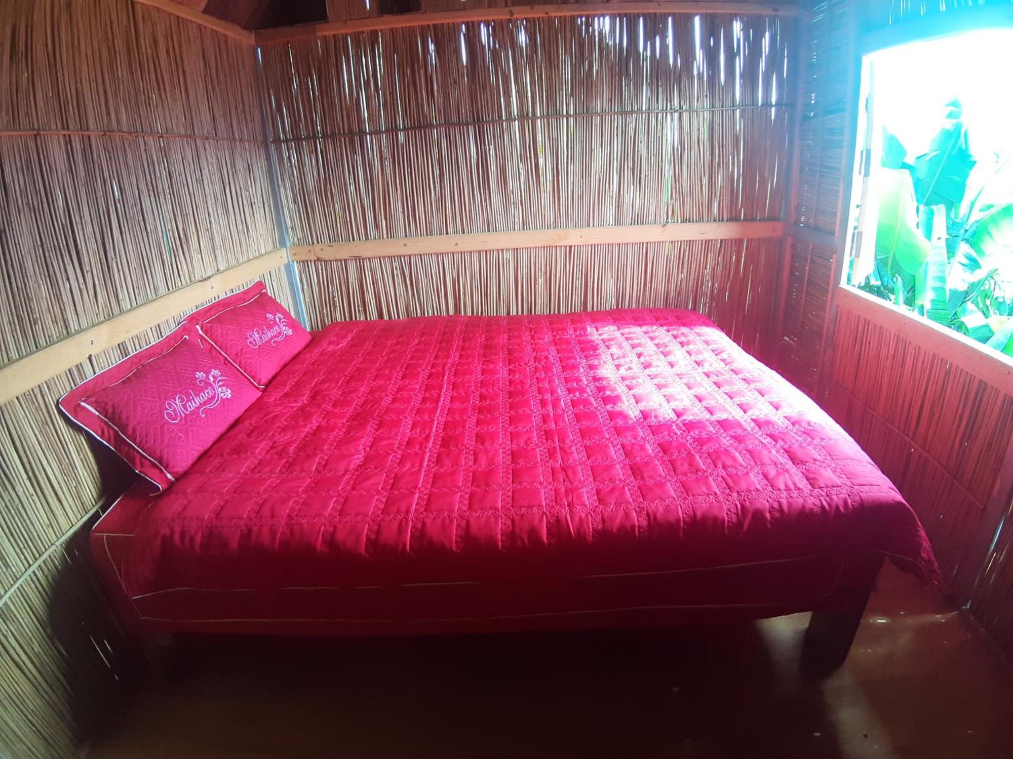 Indigenous Homestay- Trek- Food- Bus Mu Cang Chai Rom bilde