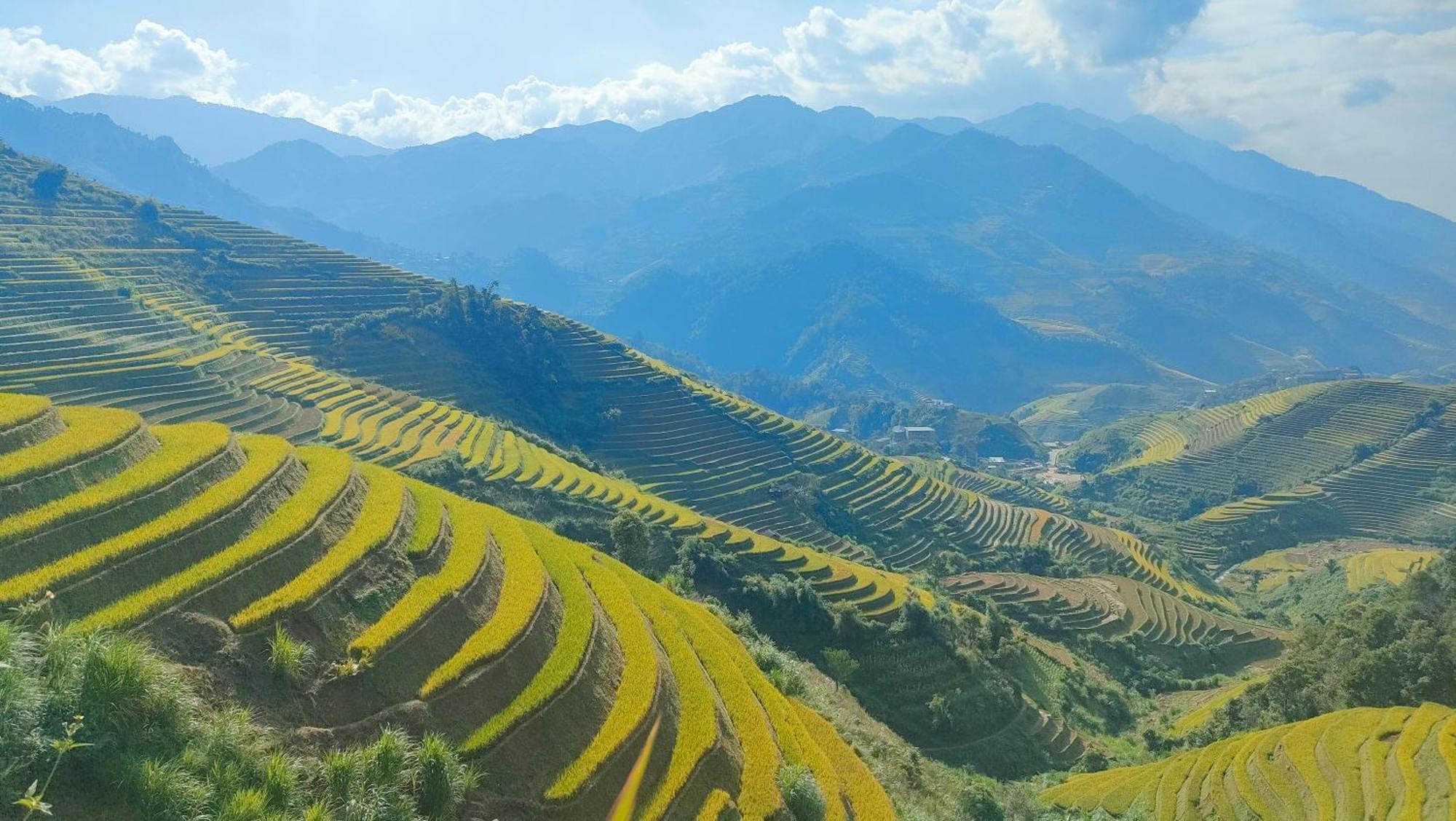 Indigenous Homestay- Trek- Food- Bus Mu Cang Chai Eksteriør bilde