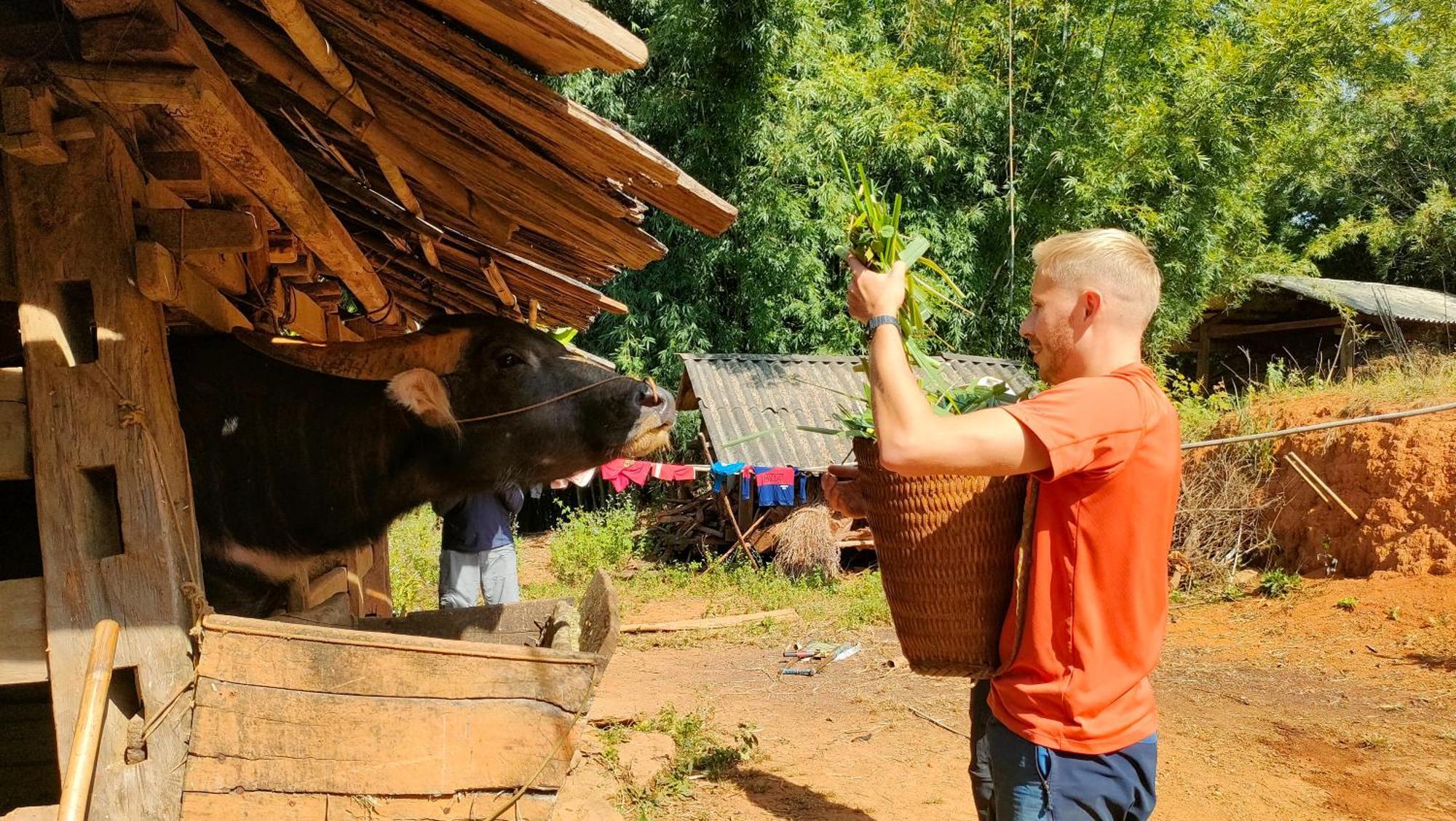 Indigenous Homestay- Trek- Food- Bus Mu Cang Chai Eksteriør bilde