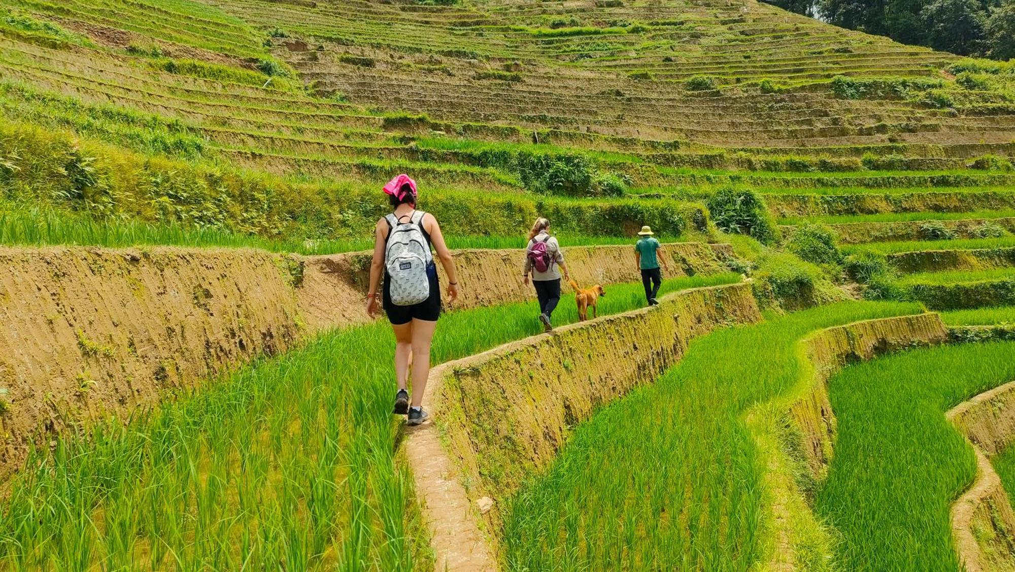 Indigenous Homestay- Trek- Food- Bus Mu Cang Chai Eksteriør bilde